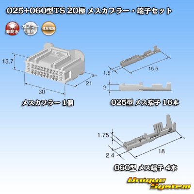 Photo4: [Sumitomo Wiring Systems] 025 + 060-type TS hybrid non-waterproof 20-pole female-coupler & terminal set