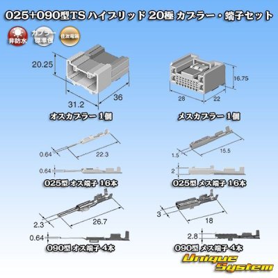 Photo1: [Sumitomo Wiring Systems] 025 + 090-type TS hybrid non-waterproof 20-pole coupler & terminal set