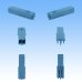 Photo2: [Sumitomo Wiring Systems] 050-type HC non-waterproof 2-pole female-coupler (blue) (2)