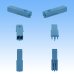 Photo2: [Sumitomo Wiring Systems] 050-type HC non-waterproof 2-pole female-coupler & terminal set (blue) (2)