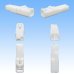 Photo2: [Sumitomo Wiring Systems] 050-type HC non-waterproof 3-pole male-coupler (white) (2)