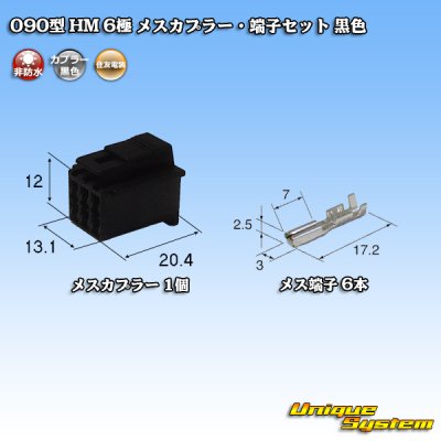 Photo1: [Sumitomo Wiring Systems] 090-type HM non-waterproof 6-pole female-coupler & terminal set (black)