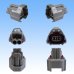 Photo2: [Sumitomo Wiring Systems] 090-type MT waterproof 2-pole female-coupler type-2 (P5) (2)