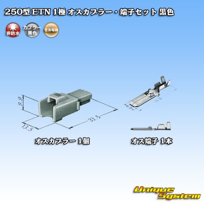 Photo4: [Sumitomo Wiring Systems] 250-type ETN non-waterproof 1-pole male-coupler & terminal set (black)