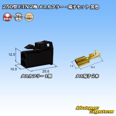 Photo1: [Sumitomo Wiring Systems] 250-type ETN non-waterproof 2-pole female-coupler & terminal set (black)