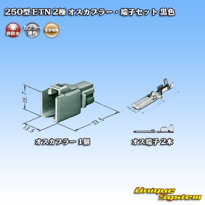 Photo4: [Sumitomo Wiring Systems] 250-type ETN non-waterproof 2-pole male-coupler & terminal set (black)