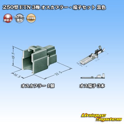 Photo4: [Sumitomo Wiring Systems] 250-type ETN non-waterproof 3-pole male-coupler & terminal set (black)