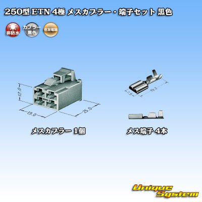 Photo4: [Sumitomo Wiring Systems] 250-type ETN non-waterproof 4-pole female-coupler & terminal set (black)