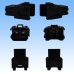 Photo2: [Sumitomo Wiring Systems] 250-type ETN non-waterproof 4-pole male-coupler (black) (2)