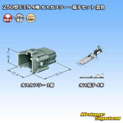 Photo4: [Sumitomo Wiring Systems] 250-type ETN non-waterproof 4-pole male-coupler & terminal set (black)