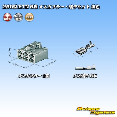 Photo4: [Sumitomo Wiring Systems] 250-type ETN non-waterproof 6-pole female-coupler & terminal set (black)