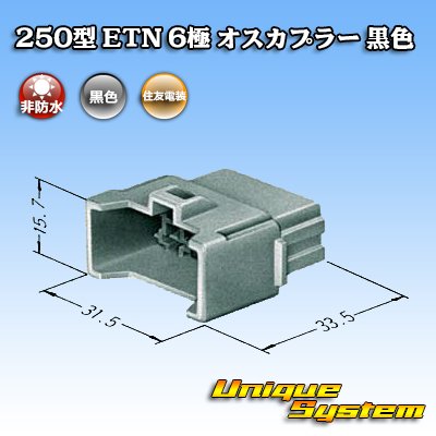 Photo3: [Sumitomo Wiring Systems] 250-type ETN non-waterproof 6-pole male-coupler (black)