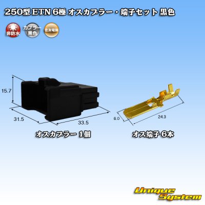 Photo1: [Sumitomo Wiring Systems] 250-type ETN non-waterproof 6-pole male-coupler & terminal set (black)