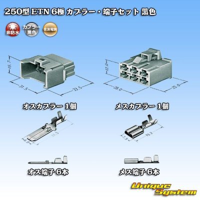 Photo5: [Sumitomo Wiring Systems] 250-type ETN non-waterproof 6-pole coupler & terminal set (black)