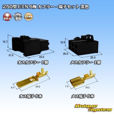 Photo1: [Sumitomo Wiring Systems] 250-type ETN non-waterproof 6-pole coupler & terminal set (black)