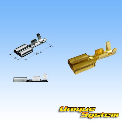 Photo3: [Sumitomo Wiring Systems] 250-type ETN non-waterproof 6-pole female-coupler & terminal set