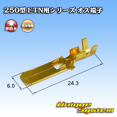 Photo3: [Sumitomo Wiring Systems] 250-type ETN series non-waterproof male-terminal