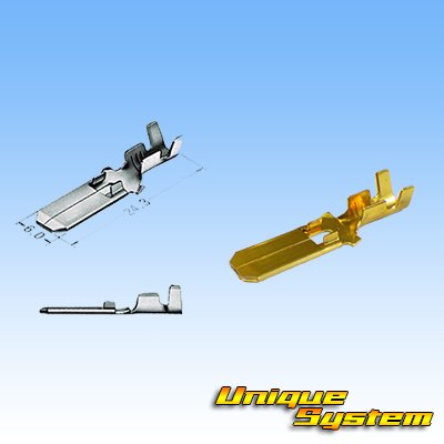 Photo3: [Sumitomo Wiring Systems] 250-type ETN non-waterproof 2-pole male-coupler & terminal set