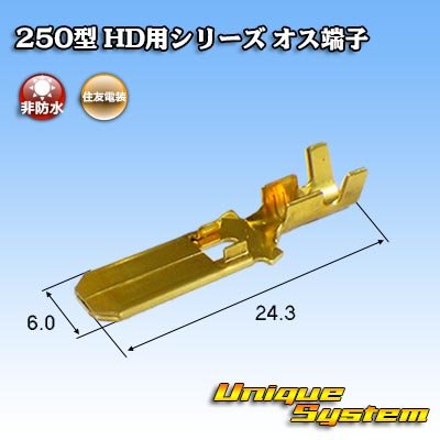 Photo3: [Sumitomo Wiring Systems] 250-type HD series non-waterproof male-terminal