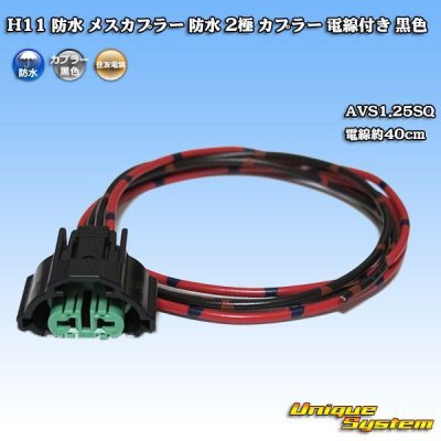 Photo1: [Sumitomo Wiring Systems] H11 waterproof female-coupler 2-pole coupler with electric-wire (black)