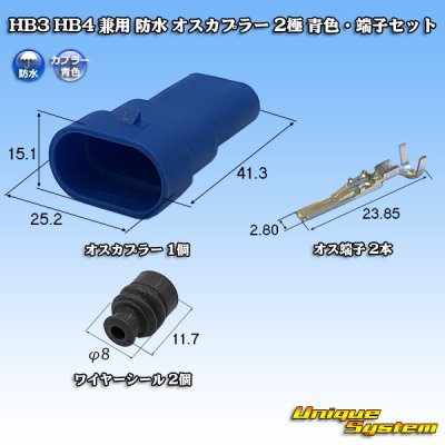 Photo1: HB3 HB4 combined use waterproof male-coupler 2-pole (blue) & terminal set