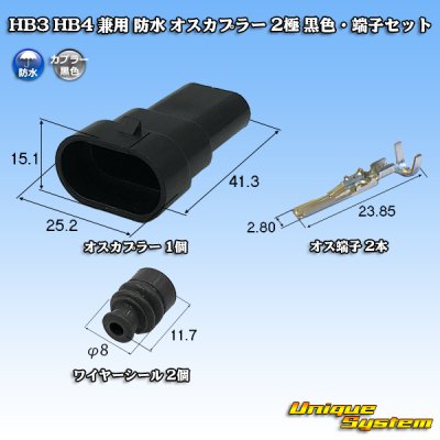 Photo1: HB3 HB4 combined use waterproof male-coupler 2-pole (black) & terminal set