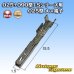Photo5: [Sumitomo Wiring Systems] 025 + 090-type TS hybrid non-waterproof 18-pole female-coupler & terminal set