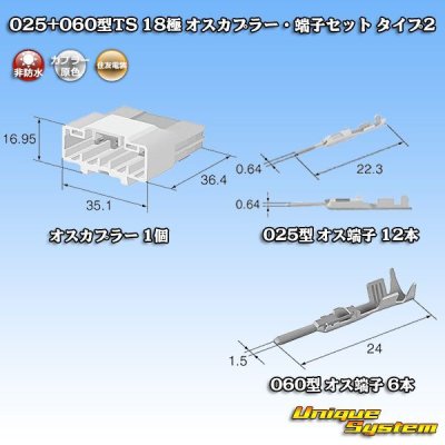 Photo1: [Sumitomo Wiring Systems] 025 + 060-type TS hybrid non-waterproof 18-pole male-coupler & terminal set type-2