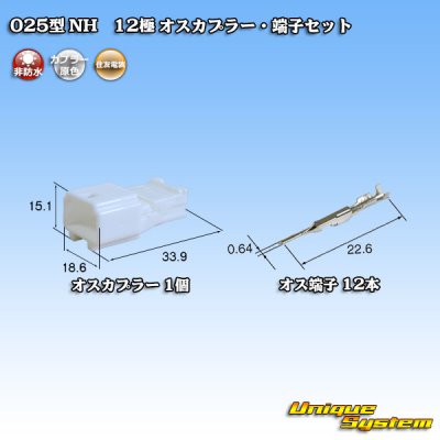 Photo1: [Sumitomo Wiring Systems] 025-type NH non-waterproof 12-pole male-coupler & terminal set