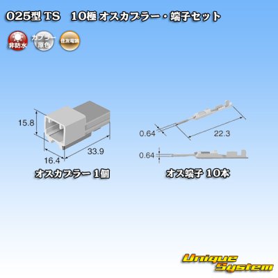 Photo4: [Sumitomo Wiring Systems] 025-type TS non-waterproof 10-pole male-coupler & terminal set