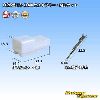 Photo1: [Sumitomo Wiring Systems] 025-type TS non-waterproof 10-pole male-coupler & terminal set