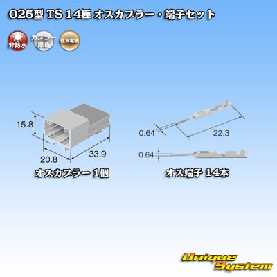Photo4: [Sumitomo Wiring Systems] 025-type TS non-waterproof 14-pole male-coupler & terminal set