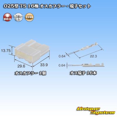 Photo4: [Sumitomo Wiring Systems] 025-type TS non-waterproof 16-pole male-coupler & terminal set