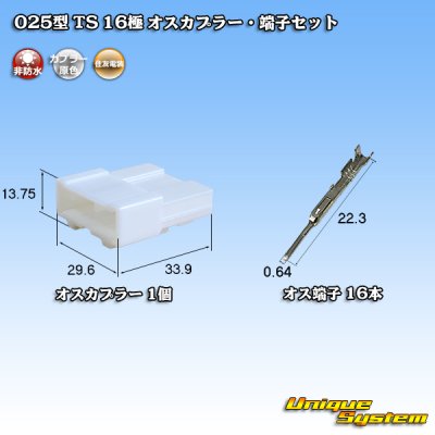 Photo1: [Sumitomo Wiring Systems] 025-type TS non-waterproof 16-pole male-coupler & terminal set