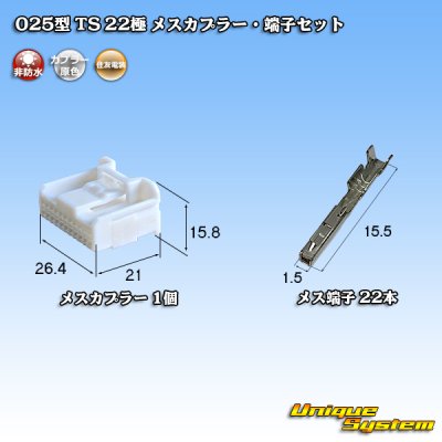 Photo1: [Sumitomo Wiring Systems] 025-type TS non-waterproof 22-pole female-coupler & terminal set