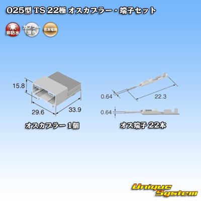 Photo4: [Sumitomo Wiring Systems] 025-type TS non-waterproof 22-pole male-coupler & terminal set