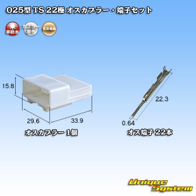 Photo1: [Sumitomo Wiring Systems] 025-type TS non-waterproof 22-pole male-coupler & terminal set