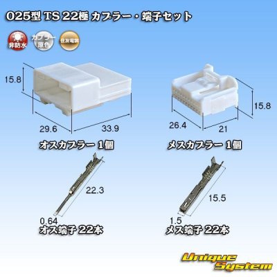 Photo1: [Sumitomo Wiring Systems] 025-type TS non-waterproof 22-pole coupler & terminal set