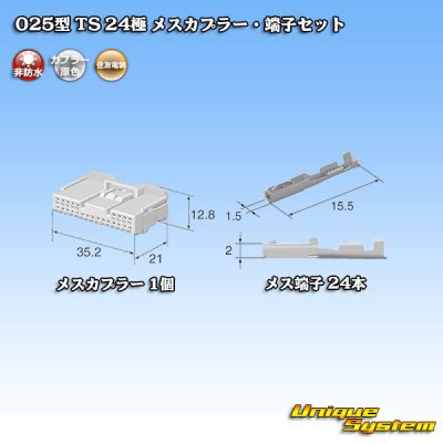 Photo4: [Sumitomo Wiring Systems] 025-type TS non-waterproof 24-pole female-coupler & terminal set