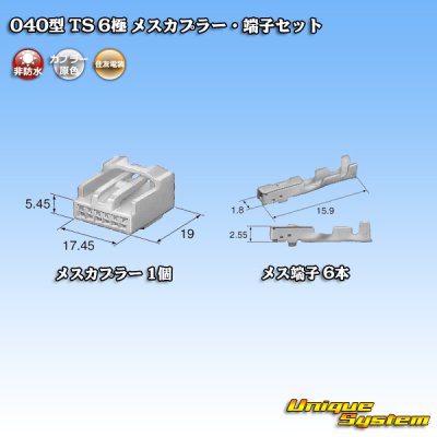 Photo4: [Sumitomo Wiring Systems] 040-type TS non-waterproof 6-pole female-coupler & terminal set