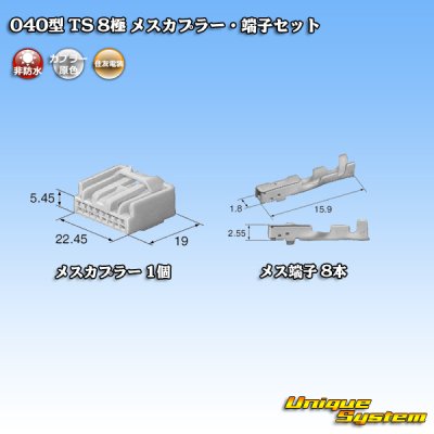 Photo4: [Sumitomo Wiring Systems] 040-type TS non-waterproof 8-pole female-coupler & terminal set