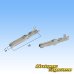 Photo3: [Sumitomo Wiring Systems] 050-type HC non-waterproof 3-pole female-coupler & terminal set (white) (3)