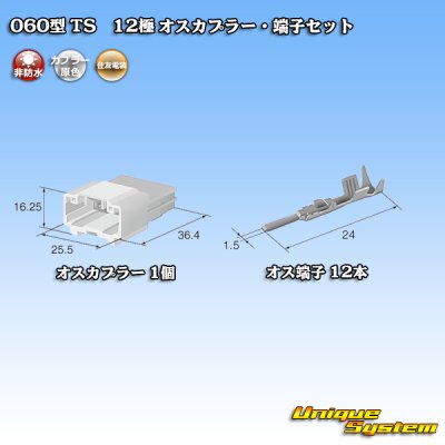 Photo4: [Sumitomo Wiring Systems] 060-type TS non-waterproof 12-pole male-coupler & terminal set