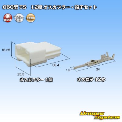 Photo1: [Sumitomo Wiring Systems] 060-type TS non-waterproof 12-pole male-coupler & terminal set