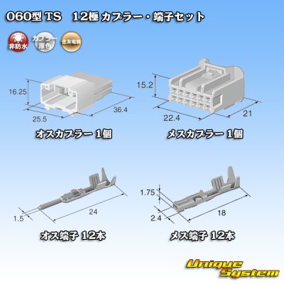 Photo5: [Sumitomo Wiring Systems] 060-type TS non-waterproof 12-pole coupler & terminal set