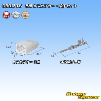 Photo4: [Sumitomo Wiring Systems] 060-type TS non-waterproof 8-pole male-coupler & terminal set