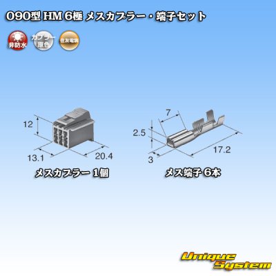 Photo4: [Sumitomo Wiring Systems] 090-type HM non-waterproof 6-pole female-coupler & terminal set