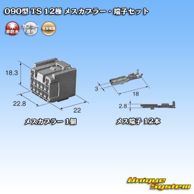 Photo4: [Sumitomo Wiring Systems] 090-type TS non-waterproof 12-pole female-coupler & terminal set