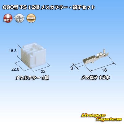 Photo1: [Sumitomo Wiring Systems] 090-type TS non-waterproof 12-pole female-coupler & terminal set