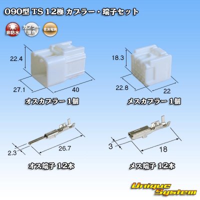 Photo1: [Sumitomo Wiring Systems] 090-type TS non-waterproof 12-pole coupler & terminal set